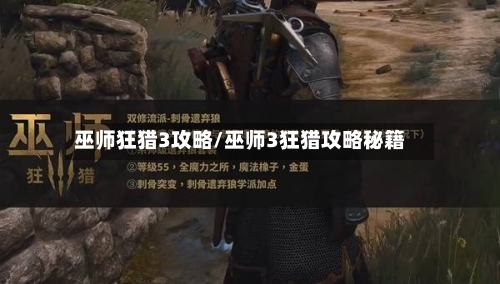 巫师狂猎3攻略/巫师3狂猎攻略秘籍-第3张图片