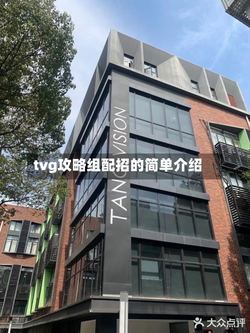 tvg攻略组配招的简单介绍