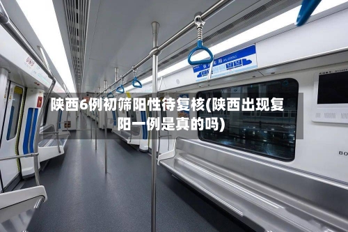 陕西6例初筛阳性待复核(陕西出现复阳一例是真的吗)
