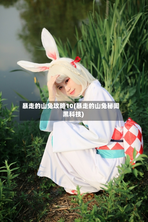 暴走的山兔攻略10(暴走的山兔秘闻 黑科技)