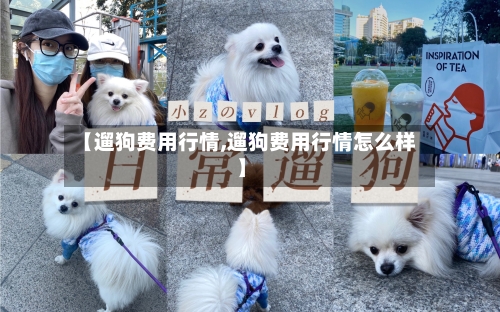 【遛狗费用行情,遛狗费用行情怎么样】-第2张图片