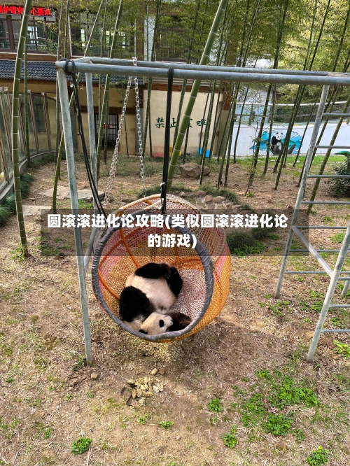 圆滚滚进化论攻略(类似圆滚滚进化论的游戏)