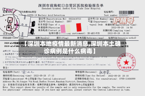 【深圳本地疫情最新消息,深圳本土确诊病例是什么病毒】-第2张图片