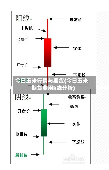 今日玉米行情与期货(今日玉米期货费用k线分析)