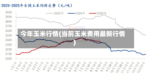 今年玉米行情(当前玉米费用最新行情)-第2张图片