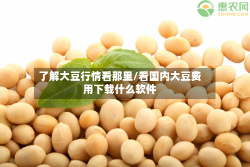 了解大豆行情看那里/看国内大豆费用下载什么软件