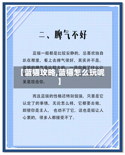 【蓝猫攻略,蓝猫怎么玩呢】