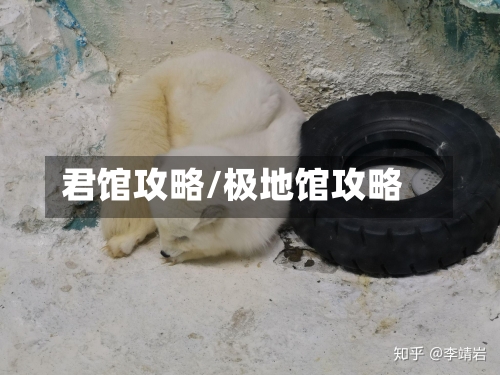 君馆攻略/极地馆攻略