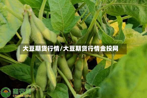大豆期货行情/大豆期货行情金投网-第3张图片
