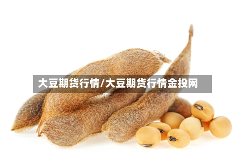 大豆期货行情/大豆期货行情金投网