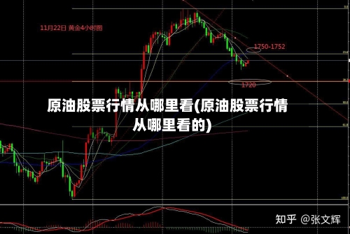 原油股票行情从哪里看(原油股票行情从哪里看的)-第2张图片