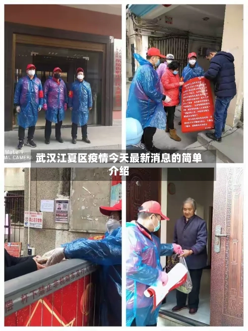 武汉江夏区疫情今天最新消息的简单介绍-第2张图片