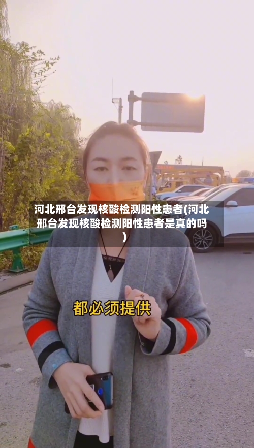 河北邢台发现核酸检测阳性患者(河北邢台发现核酸检测阳性患者是真的吗)-第2张图片