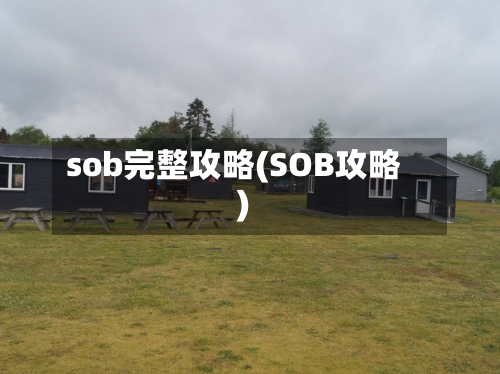 sob完整攻略(SOB攻略)