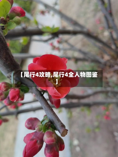 【尾行4攻略,尾行4全人物图鉴】-第3张图片