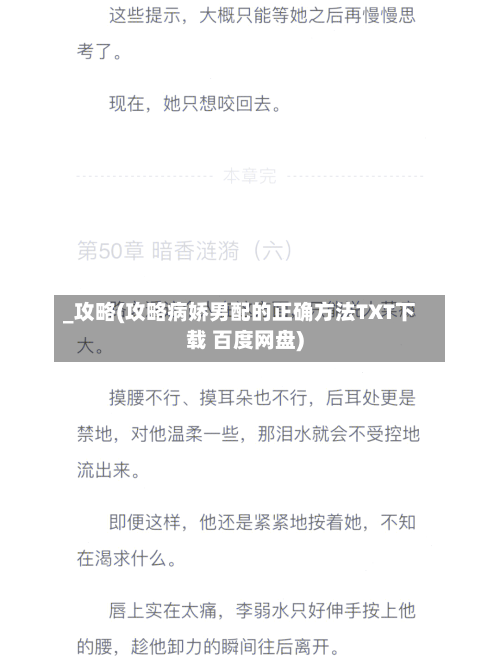 _攻略(攻略病娇男配的正确方法TXT下载 百度网盘)