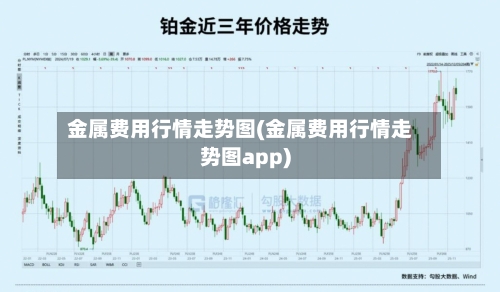 金属费用行情走势图(金属费用行情走势图app)