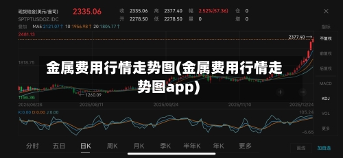 金属费用行情走势图(金属费用行情走势图app)-第2张图片