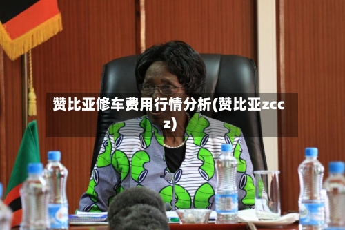 赞比亚修车费用行情分析(赞比亚zccz)