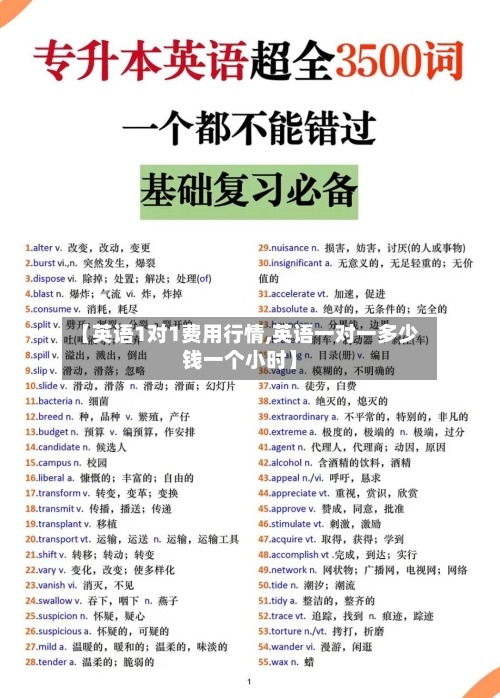 【英语1对1费用行情,英语一对一多少钱一个小时】-第2张图片