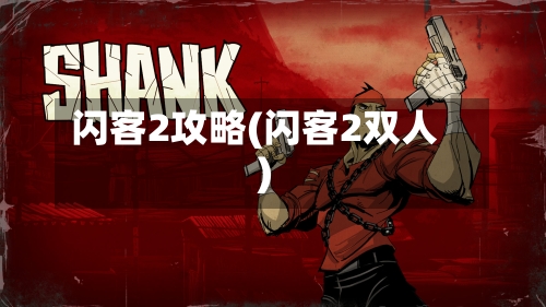 闪客2攻略(闪客2双人)
