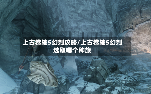 上古卷轴5幻刺攻略/上古卷轴5幻刺选取哪个种族-第2张图片