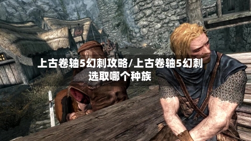 上古卷轴5幻刺攻略/上古卷轴5幻刺选取哪个种族