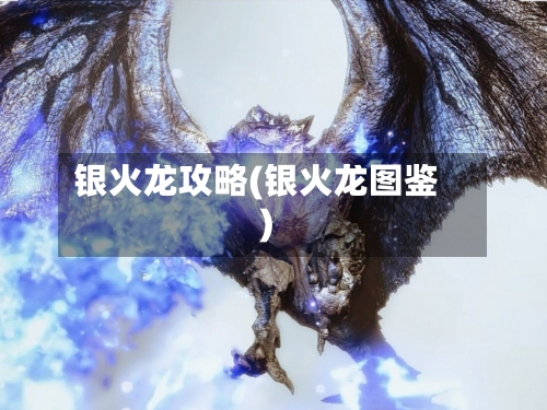 银火龙攻略(银火龙图鉴)