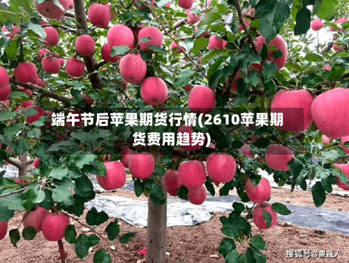 端午节后苹果期货行情(2610苹果期货费用趋势)