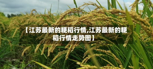【江苏最新的粳稻行情,江苏最新的粳稻行情走势图】-第2张图片
