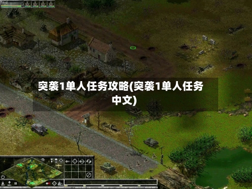 突袭1单人任务攻略(突袭1单人任务中文)-第2张图片