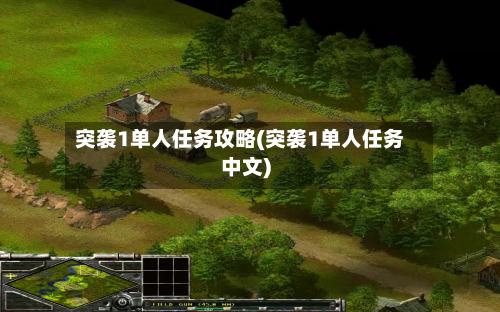 突袭1单人任务攻略(突袭1单人任务中文)