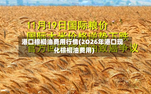 港口棕榈油费用行情(2O26年港口现化棕榈油费用)