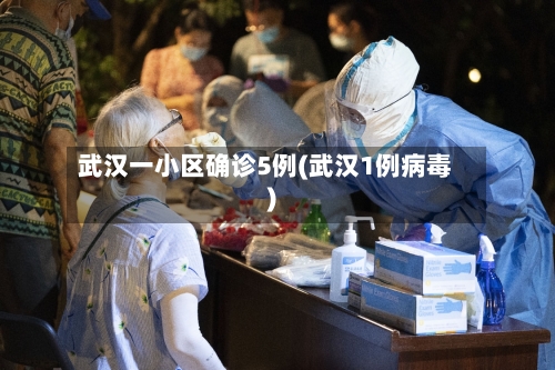 武汉一小区确诊5例(武汉1例病毒)-第2张图片