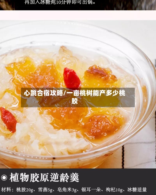 心跳合宿攻略/一亩桃树能产多少桃胶