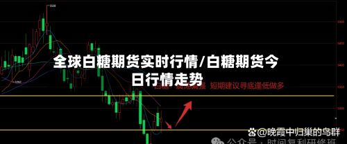 全球白糖期货实时行情/白糖期货今日行情走势