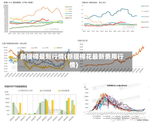 新疆棉最新行情(新疆棉花最新费用行情)