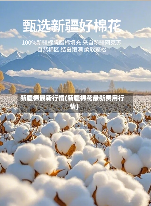 新疆棉最新行情(新疆棉花最新费用行情)-第3张图片