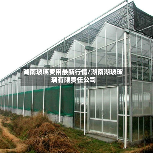 湖南玻璃费用最新行情/湖南湖玻玻璃有限责任公司-第2张图片