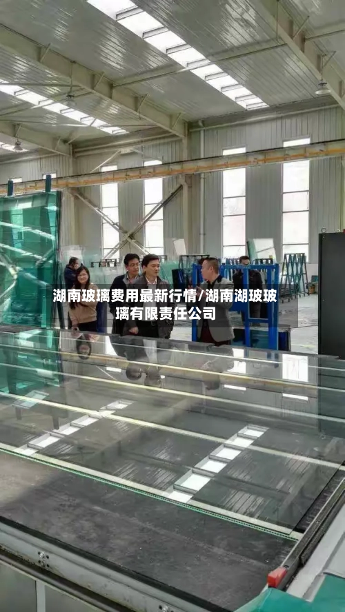 湖南玻璃费用最新行情/湖南湖玻玻璃有限责任公司