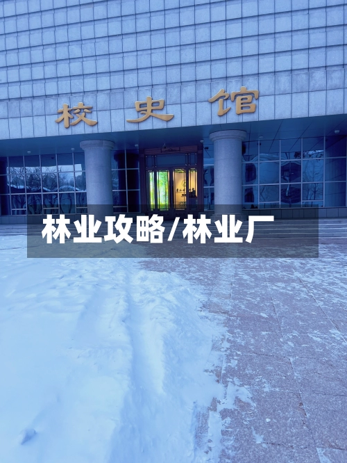 林业攻略/林业厂-第2张图片