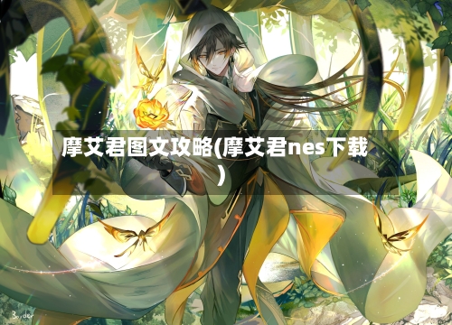 摩艾君图文攻略(摩艾君nes下载)