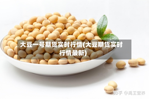 大豆一号期货实时行情(大豆期货实时行情最新)