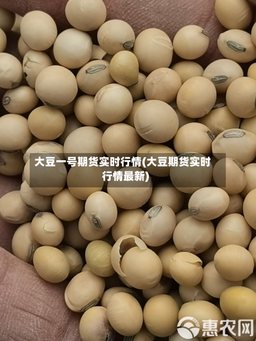 大豆一号期货实时行情(大豆期货实时行情最新)-第2张图片
