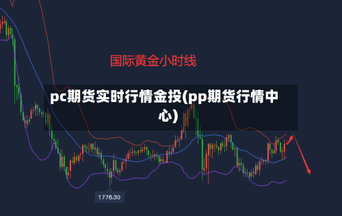 pc期货实时行情金投(pp期货行情中心)
