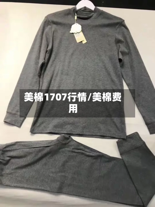 美棉1707行情/美棉费用-第3张图片