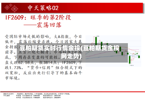 豆粕期货实时行情金投(豆粕期货金投网走势)
