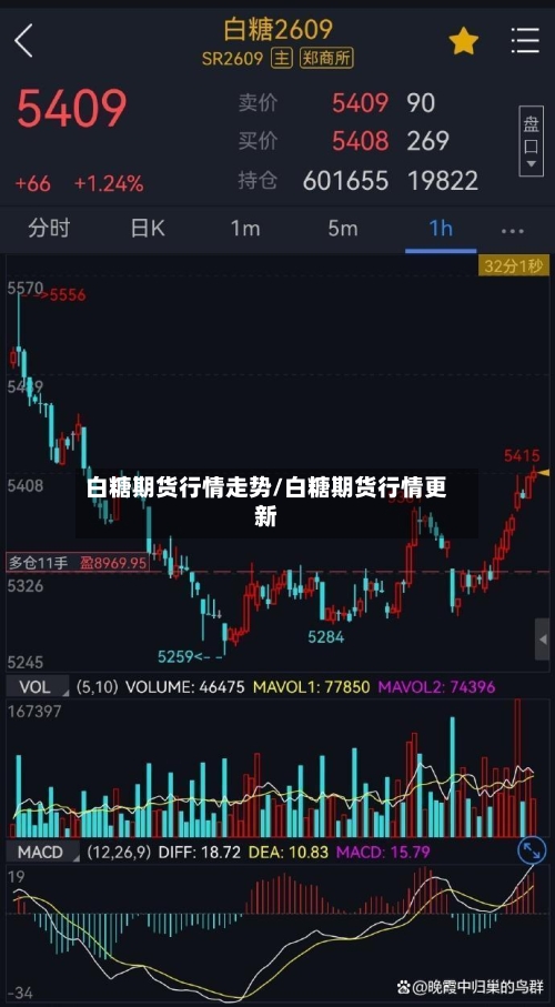 白糖期货行情走势/白糖期货行情更新