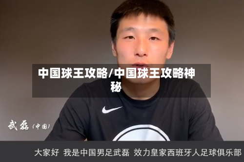 中国球王攻略/中国球王攻略神秘-第2张图片