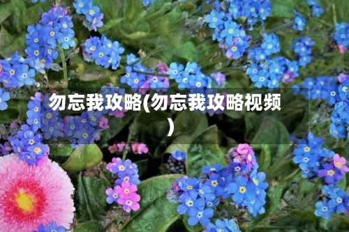 勿忘我攻略(勿忘我攻略视频)-第3张图片